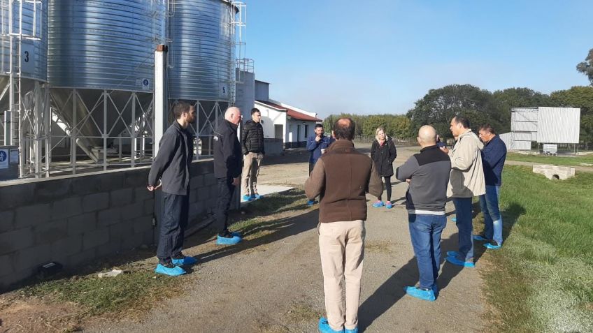 Cagnoli y Uniporc recibieron la visita de referentes del sector porcino de Holanda