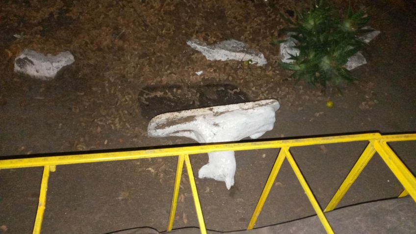 Denuncian vandalismo en la plaza de Uriburu y Rodríguez