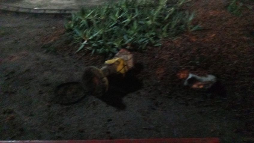 Denuncian vandalismo en la plaza de Uriburu y Rodríguez