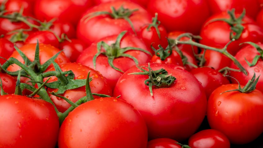 Declaran alerta fitosanitaria nacional por un virus en el tomate en Mar del Plata