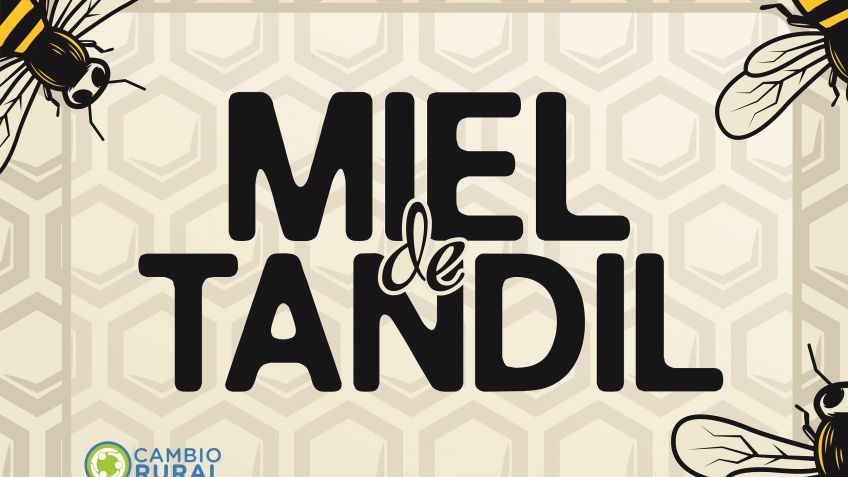 Fraccionadores de Miel presentará sus avances en el stand de Argentina en Apimondia Chile