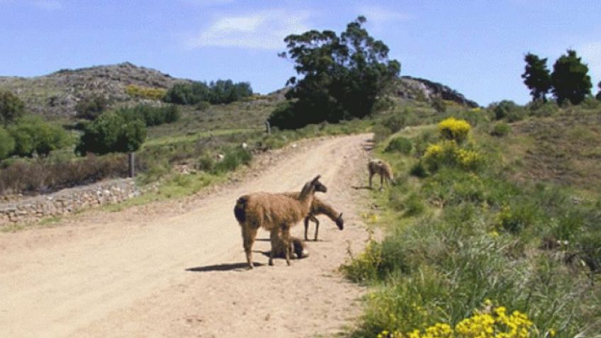 Avanza la creación del Parque Ambiental en la Reserva Natural Sierra del Tigre