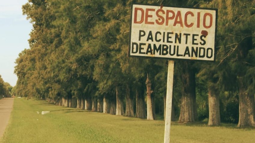 En el Día de la Salud Mental, un elogio a la locura