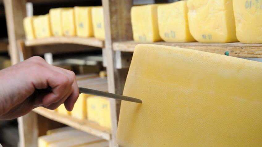 Curso de elaboración de queso duro y semiduro para empresas del Cluster Quesero
