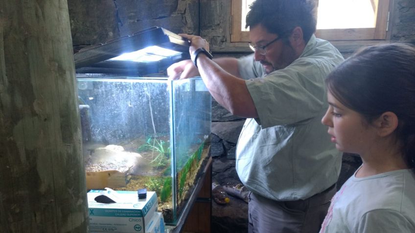 En UNICEN trabajan para salvar un animal autóctono en extinción 