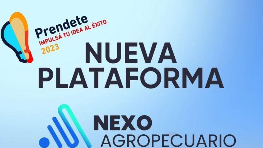 Acompañamiento a la vinculación para el desarrollo de las AgTech locales
