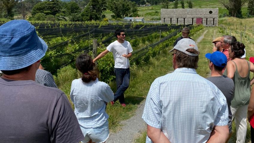 Finalizó con marcado éxito el primer curso de introducción a la viticultura