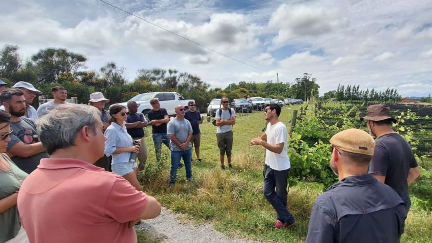 Finalizó con marcado éxito el primer curso de introducción a la viticultura