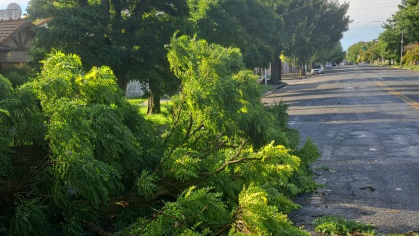 Las tormentas del fin de semana dejaron su marca en Tandil