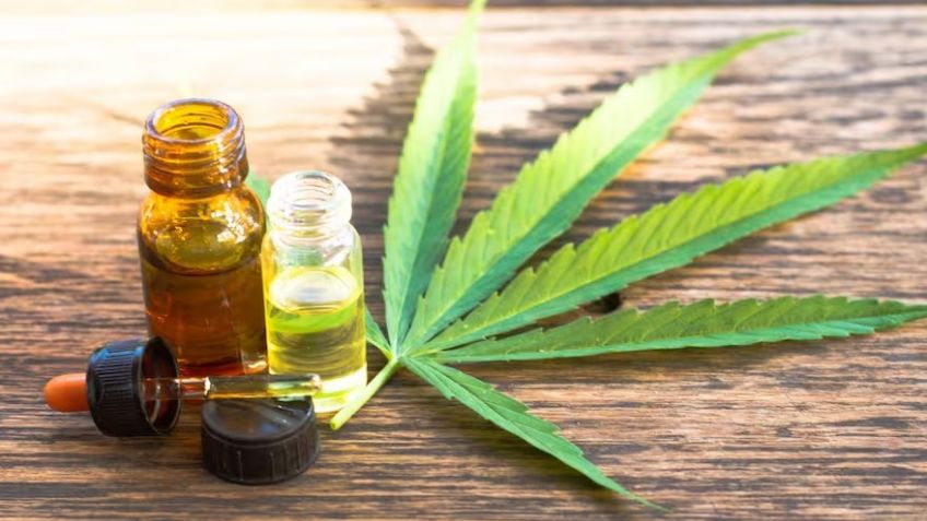 CBD y el Manejo del Dolor Crónico: Una Perspectiva Científica