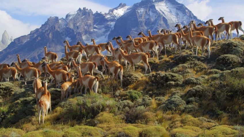 ¿Cómo ir de Tandil a Chile? recorriendo lugares turísticas imperdibles y hermosos