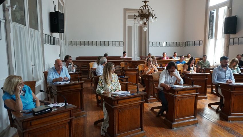 El HCD emitió dictamen anticipado por la tarifa de zona fría
