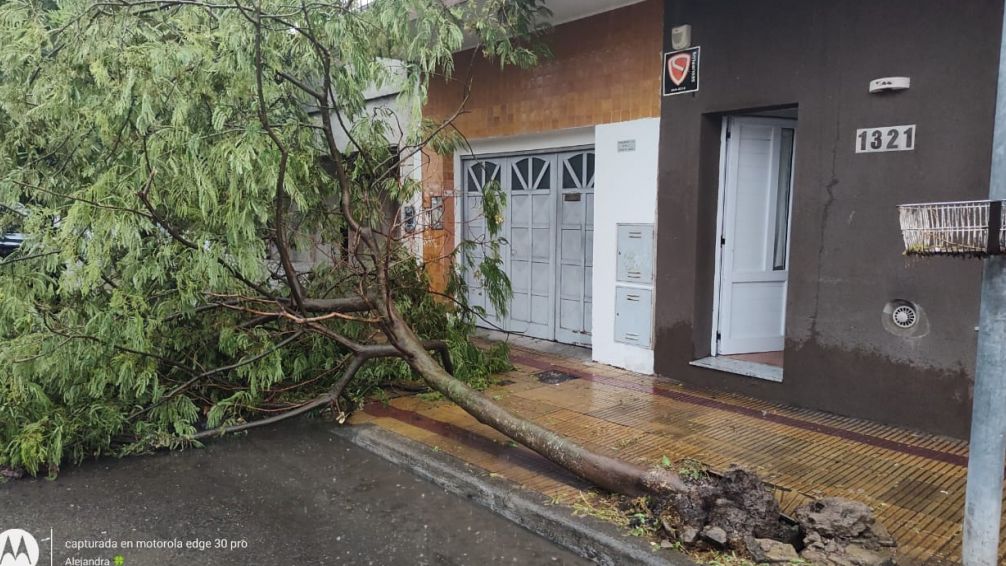 El temporal genera algunas complicaciones en distintas partes de las ciudad