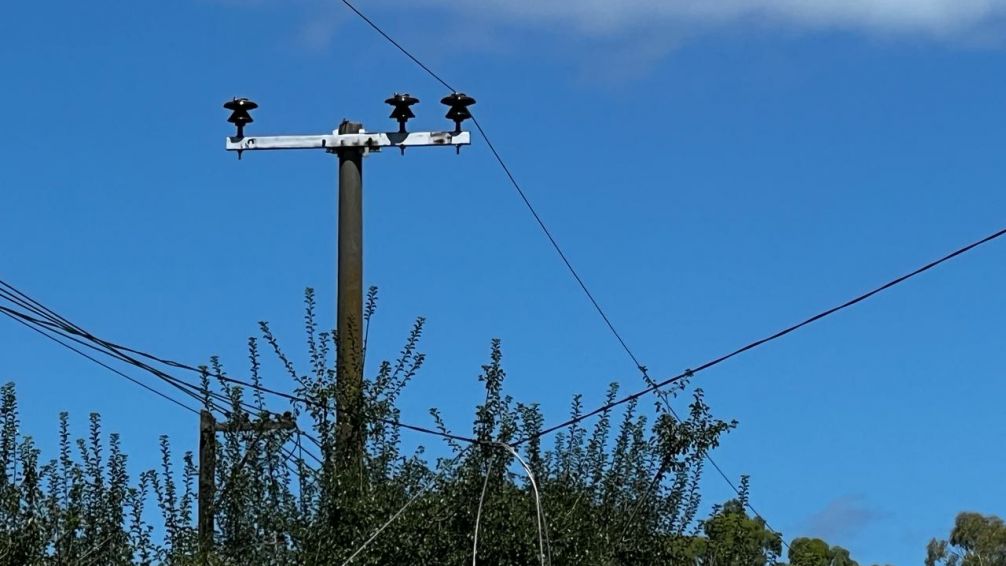 Un árbol cayó sobre el tendido eléctrico y dejó sin luz a 2000 usuarios