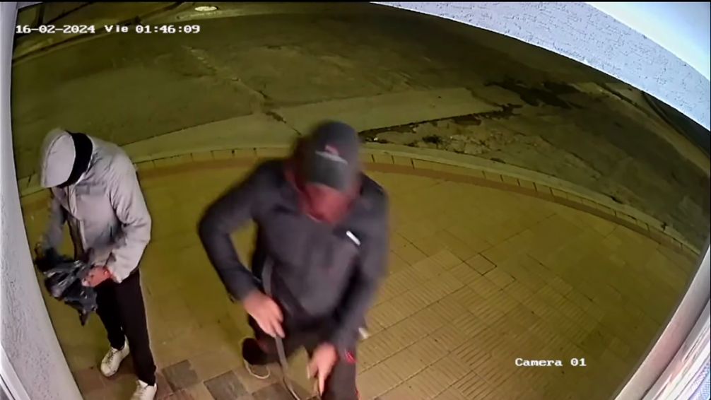 Intentaron robar en un comercio y quedaron registrados por las cámaras de seguridad