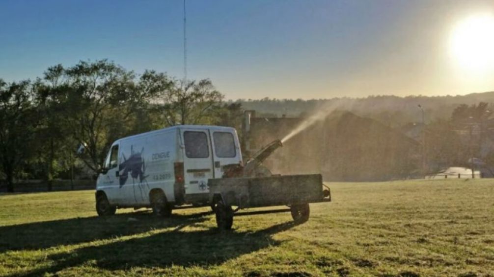 Invasión de mosquitos: "Una fumigación de este tipo no es recomendable"