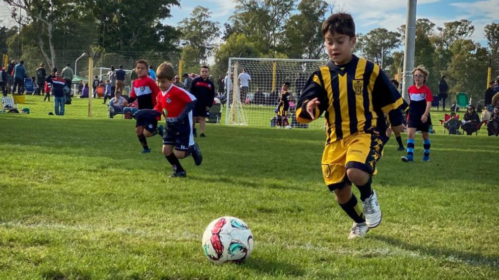 Baby fútbol: Santamarina prepara la IX edición de "Héroes"