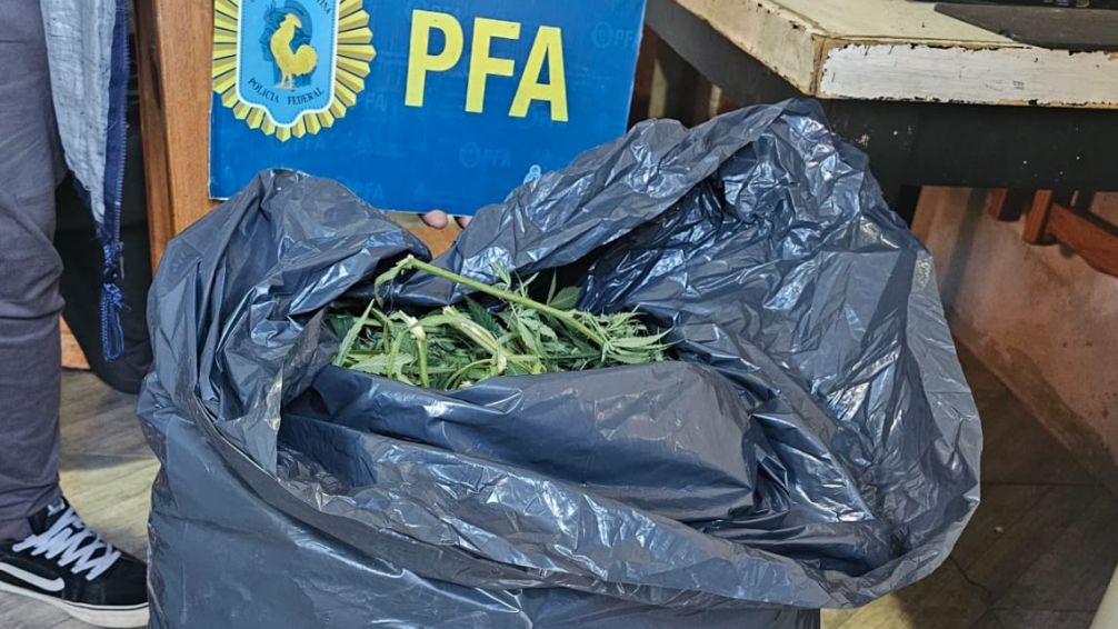 Se secuestró una importante cantidad de marihuana y se aprehendió a dos personas