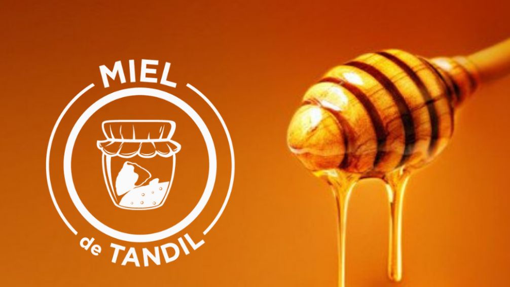 Comenzaron las visitas técnicas a fraccionadoras que se suman al Sello Miel de Tandil