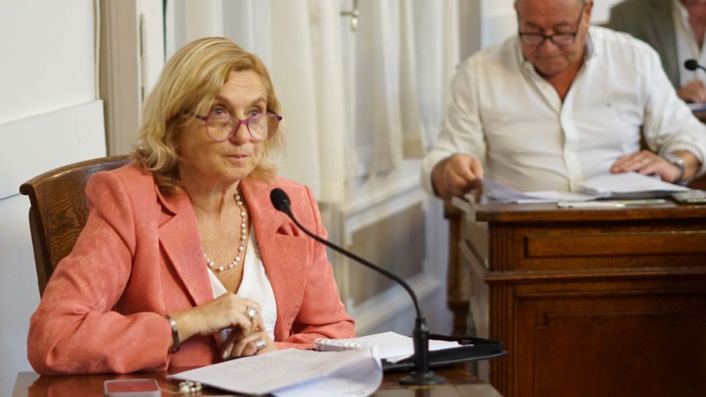 Desde Alternativa Tandil proponen la creación de un Plan Integral de Prevención del Ciberbullyng
