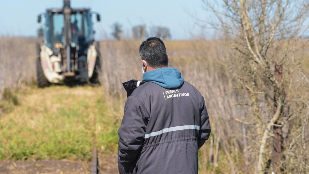 Dieron de baja la licitación y se esfuman las posibilidades de la vuelta del tren