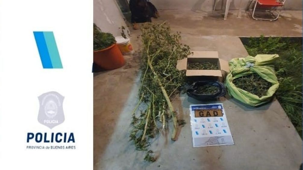 Secuestran seis kilos de marihuana y medio millón de pesos en allanamiento