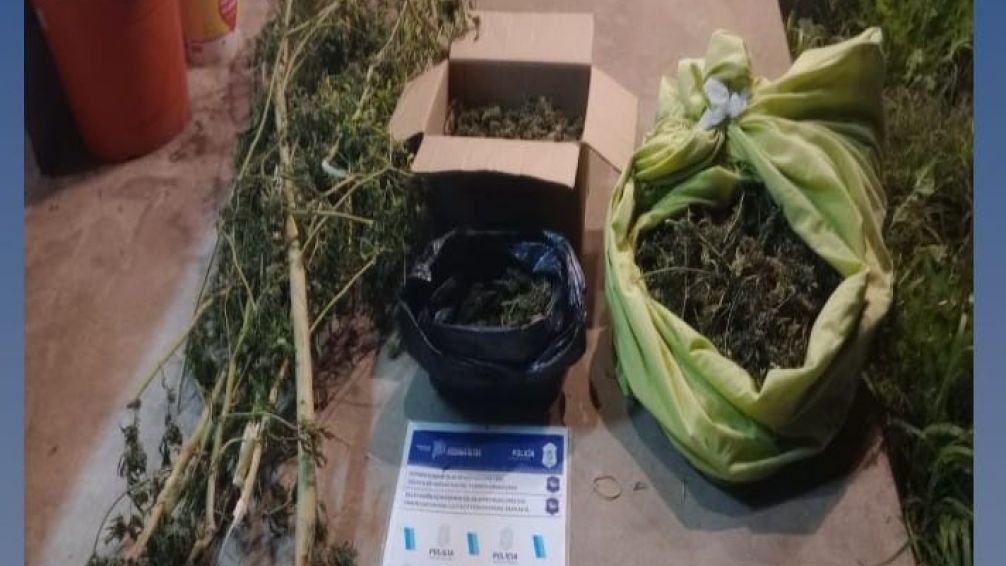Secuestran seis kilos de marihuana y medio millón de pesos en allanamiento