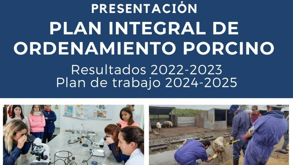 Presentan los resultados del Plan de Reordenamiento y de Trabajo 2024-2025 de porcinos