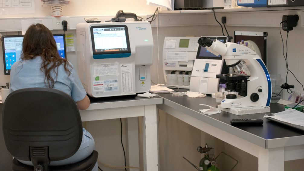 "Los controles preventivos de rutina ayudan a reforzar los hábitos de vida saludables"