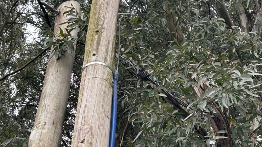 La Usina informó que robaron más de 300 metros de cable en los últimas horas