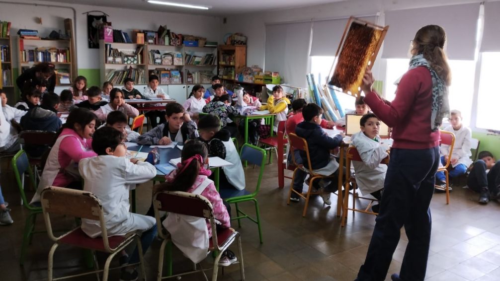 "La miel de Tandil es muy reconocida"