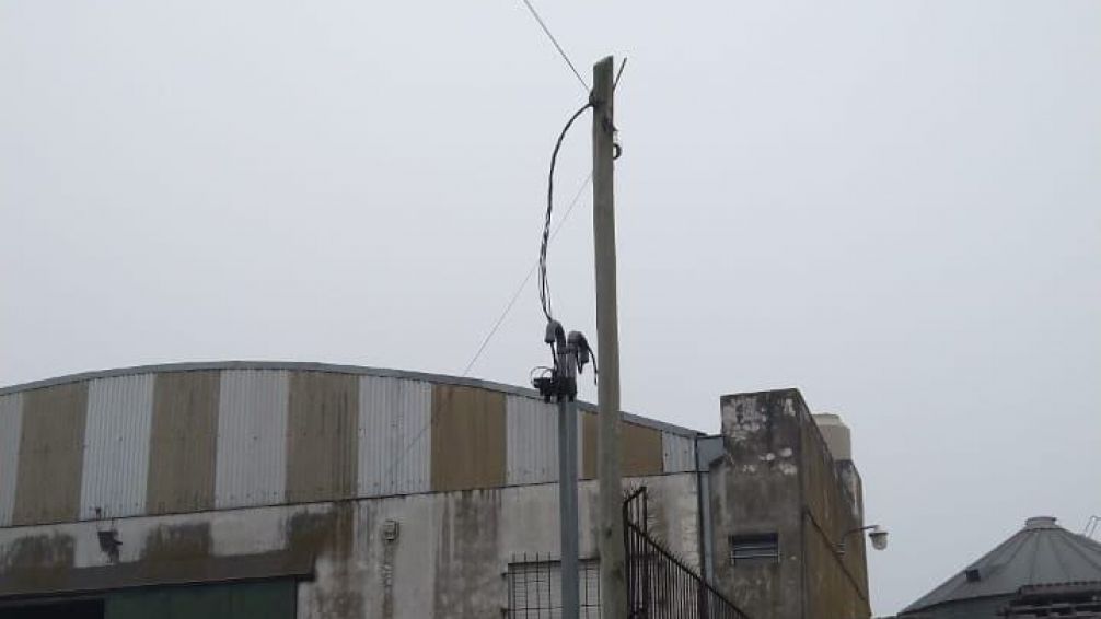 Robaron otros cien metros de cable en las últimas horas
