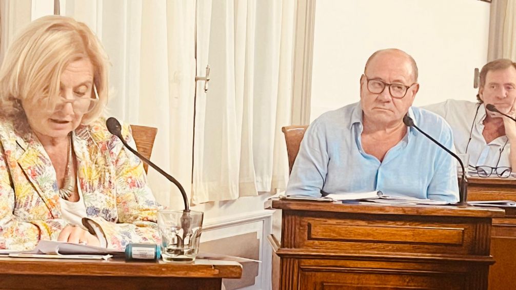 Impulsan la creación del "Plan Permanente de Monitoreo y Prevención del Dengue"
