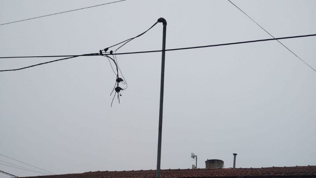 La Usina informó sobre el robo de casi 200 metros de cables en las últimas horas