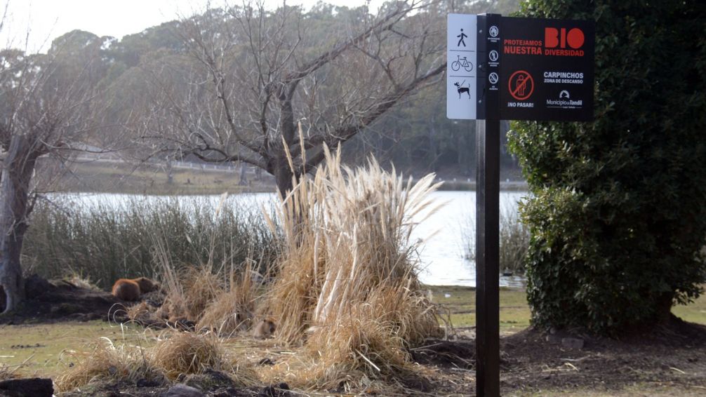 Colocaron cartelería en el Lago sobre el cuidado y respeto a la Fauna Silvestre