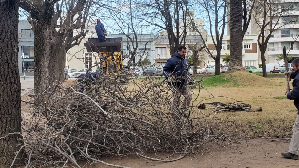 Se avanza con diferentes trabajos en la Plaza Independencia