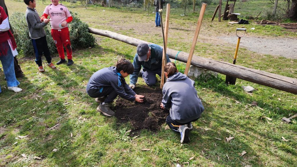 Continúan las actividades por la Semana del árbol 
