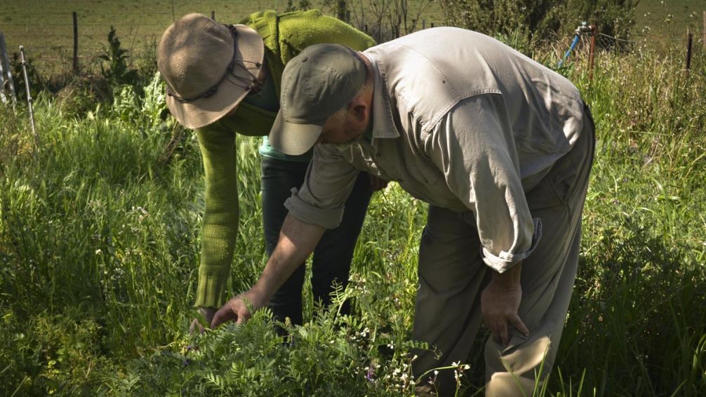 Se reunió el Consejo Asesor Agroecológico local y se avanzó en la definición de políticas