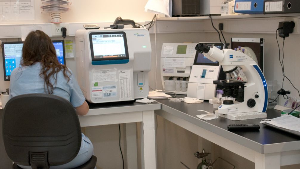 Nuevo laboratorio de última tecnología y nueva área de oncohematología en el Sanatorio Tandil