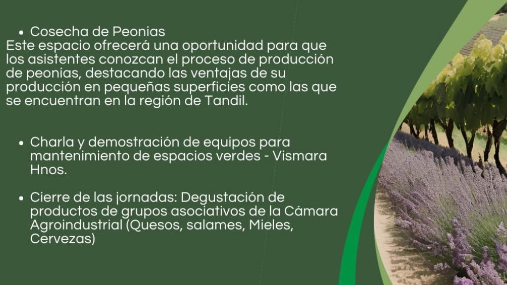 Tandil será sede de las primeras Jornadas de Producciones Alternativas