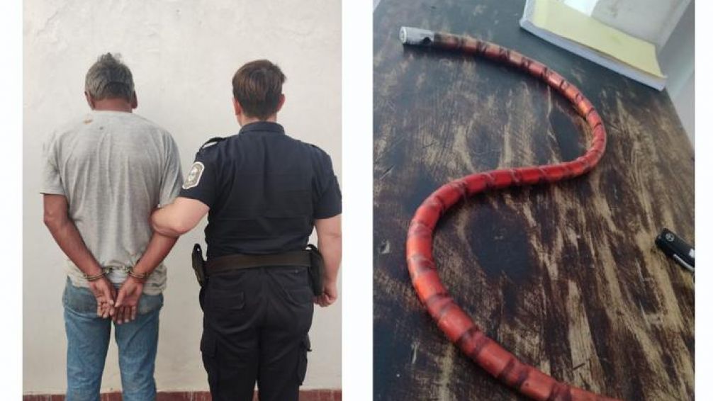 Detuvieron a un hombre que agredió a inspectores de tránsito