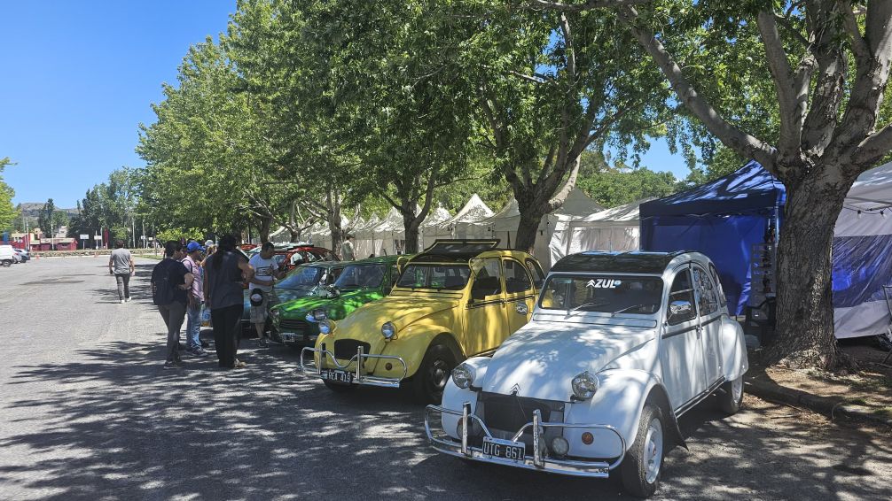 "La Ranita Escandalosa": Un Citroën volvió a navegar por el Lago del Fuerte