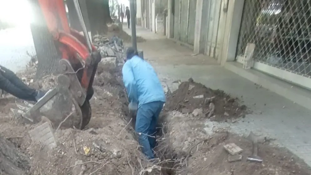 Avanza el tratamiento de raíces en veredas de la avenida Colón