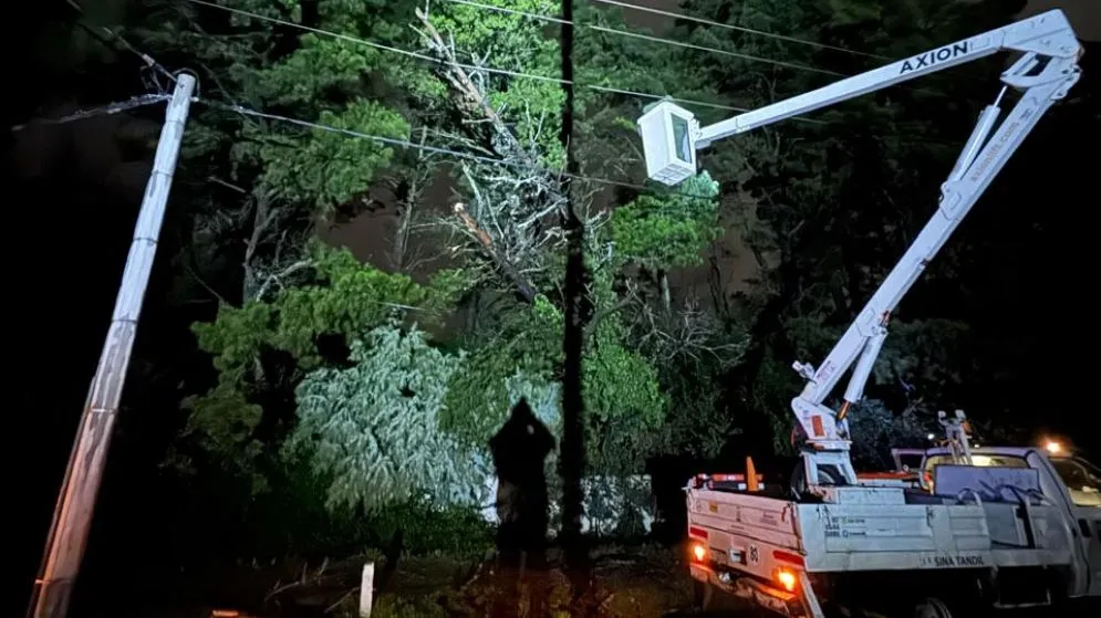 El temporal provocó caída de árboles y cortes de luz en distintas zonas de Tandil