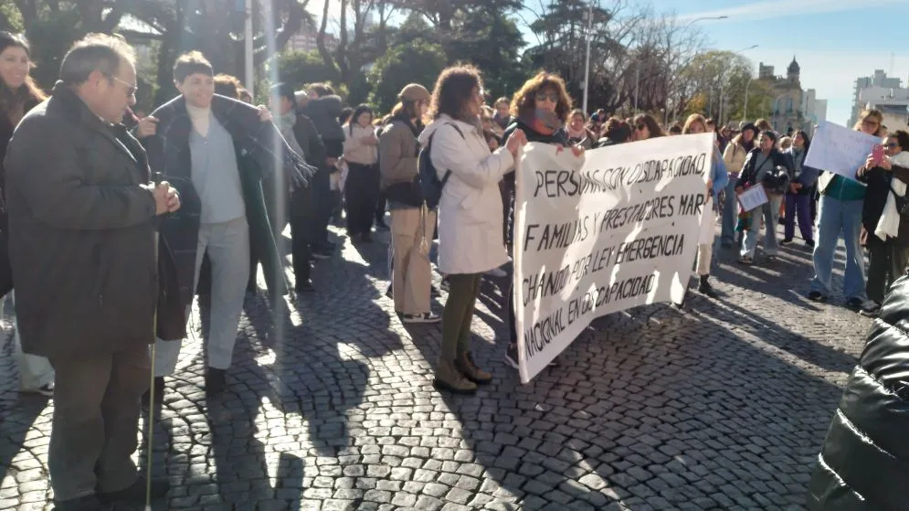 "No hay políticas de Estado concretas en materia de discapacidad"