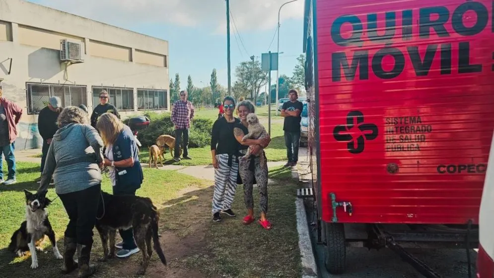 Sigue adelante el programa de castraciones y vacunaciones del quirófano móvil