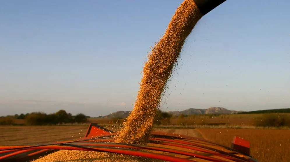 El campo vuelve a pagar más: suben las retenciones desde julio