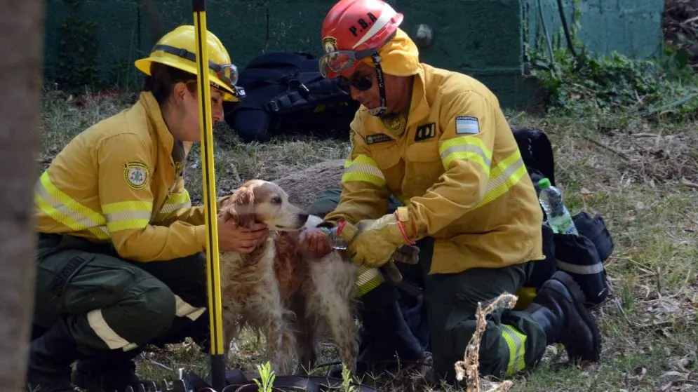 Este domingo se realizará en el Dique una gran jornada de Defensa Civil abierta a la familia