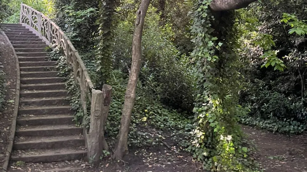 Se desarrolla una nueva edición de la ExpoJardín