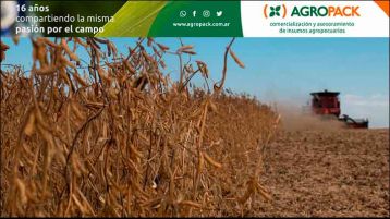 Soja: caída que se siente al pasar de 49 a 45 millones de toneladas